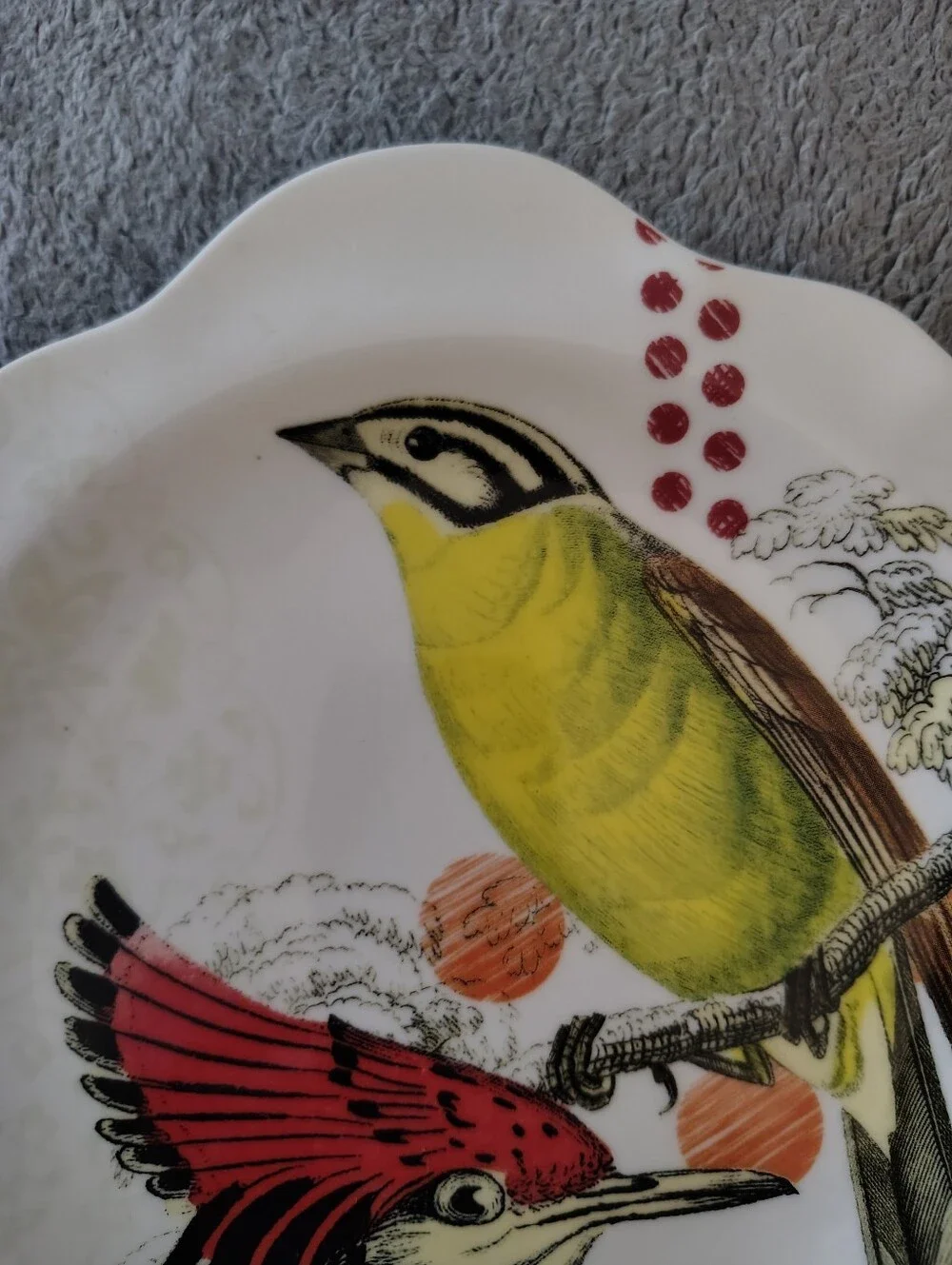Anthropologie On Safari Salad plate